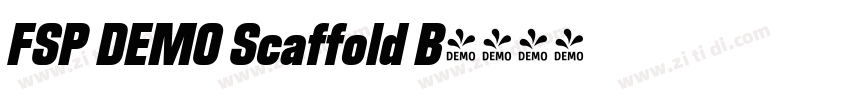 FSP DEMO Scaffold B字体转换